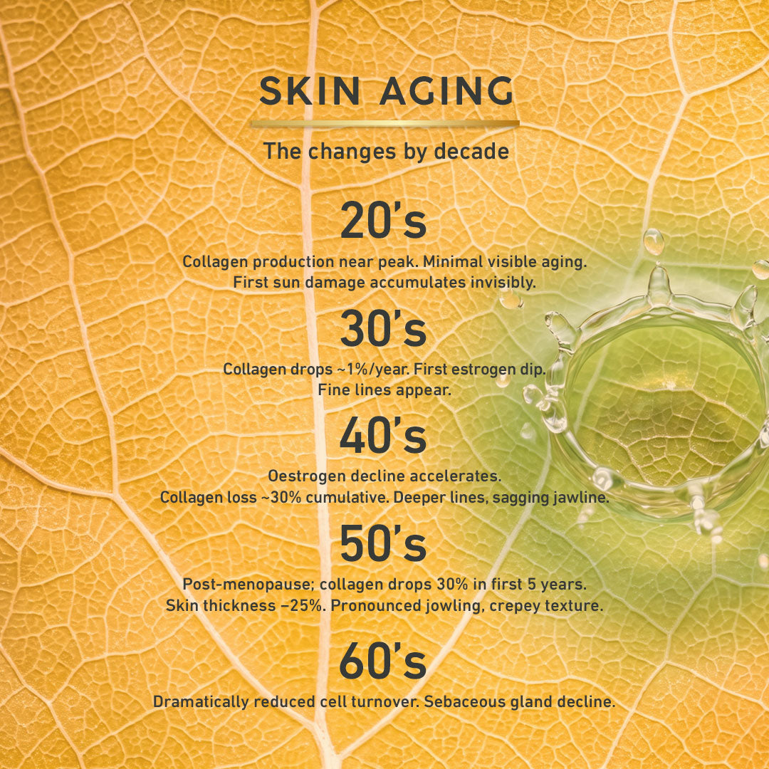 An informational graphic titled 'SKIN AGING' over a close-up yellow-orange leaf texture with a translucent droplet on the right. Text outlines skin changes by decade from 20's to 60's.