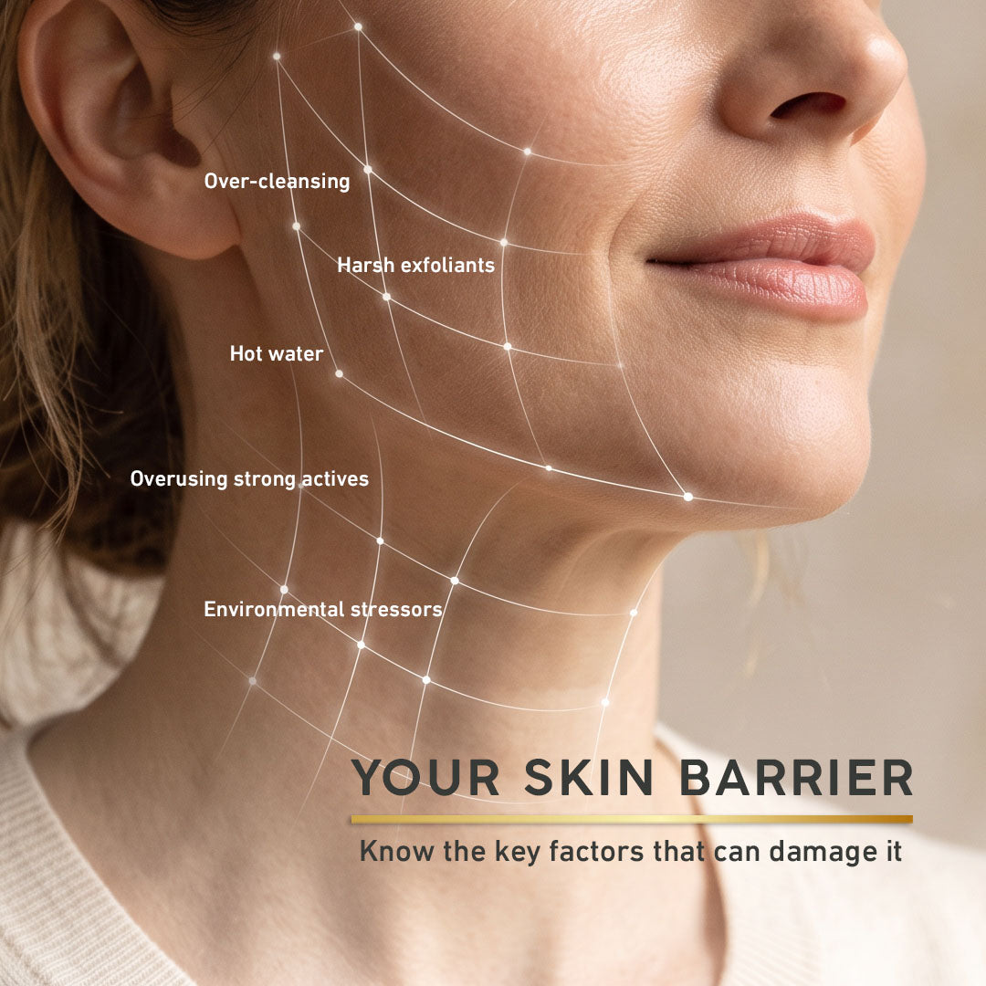 Close-up of a woman's face and neck with overlaid white lines and text listing skin barrier-damaging factors such as over-cleansing, harsh exfoliants, hot water, overusing strong actives, and environmental stressors. Large text at the bottom reads 'YOUR SKIN BARRIER' with a subtitle about knowing key factors that can damage it.
