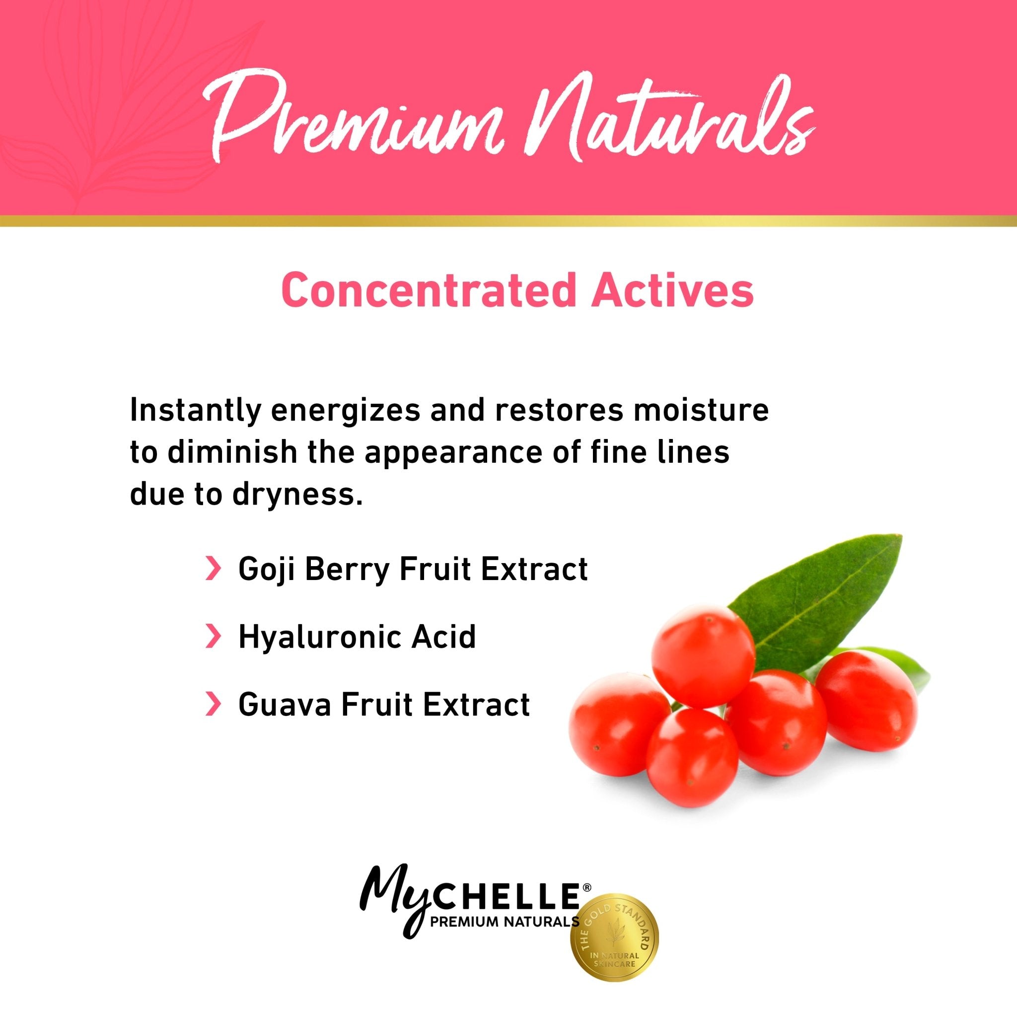 Fruit Enzyme Hydrating Mist - MyCHELLE Dermaceuticals
