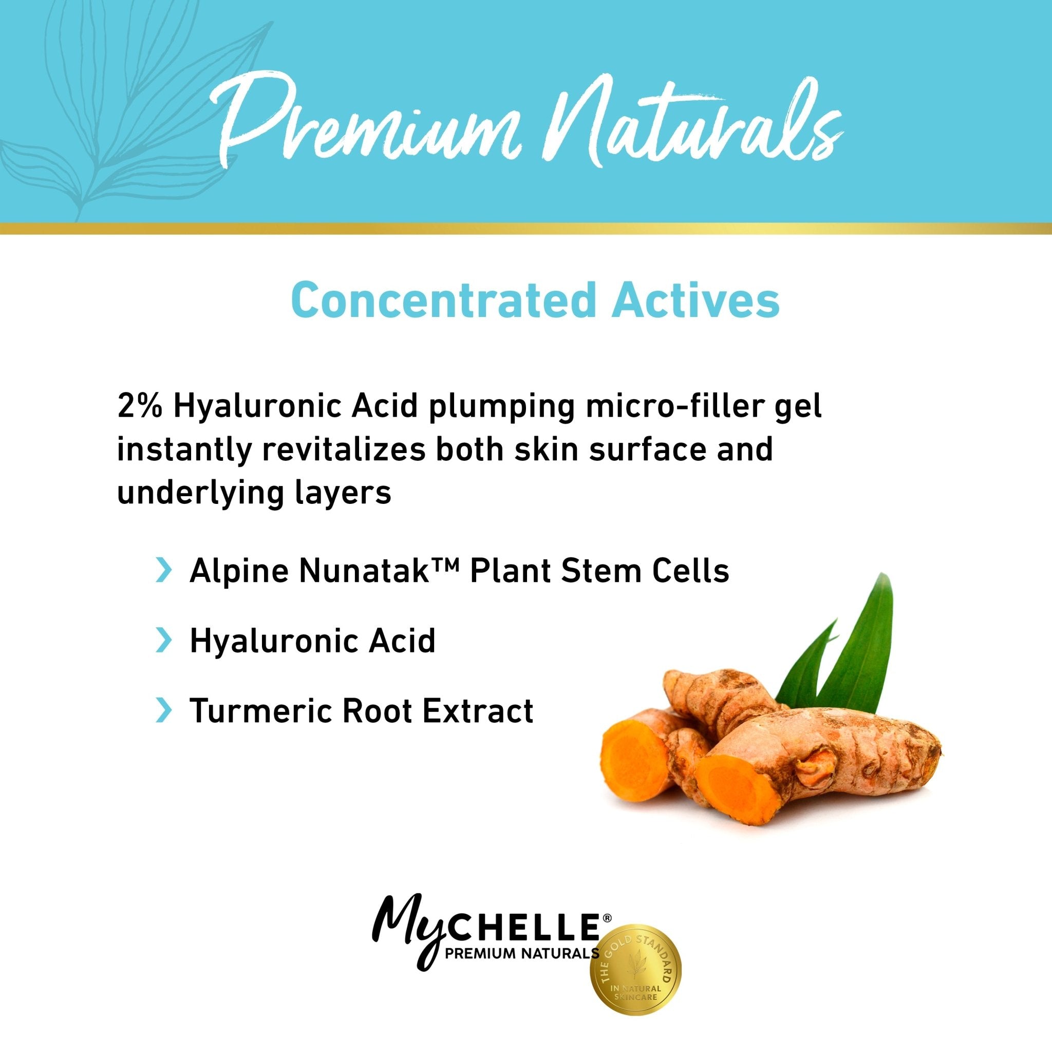 Hyaluronic Acid Instant Firming Gel - MyCHELLE Dermaceuticals
