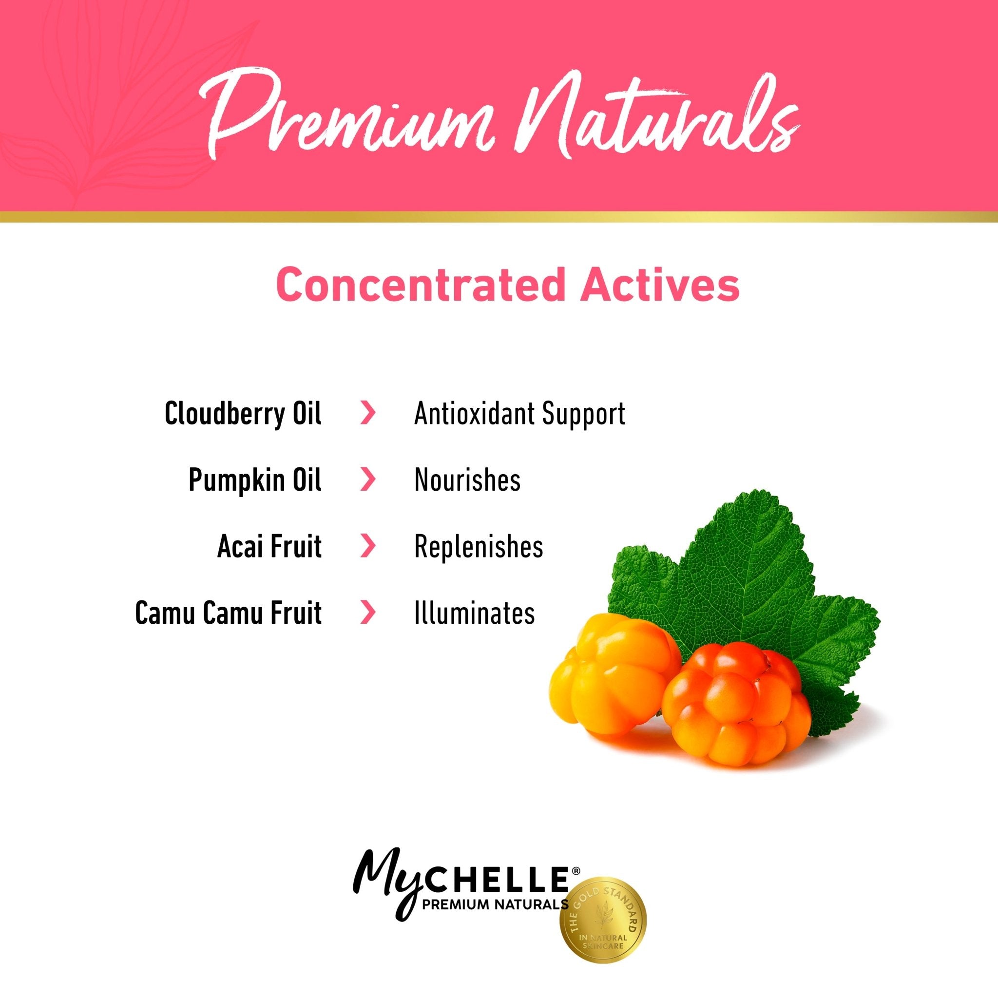 Pumpkin Renew Cream - MyCHELLE Dermaceuticals